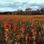 Riding Places - Yeager's Harley-Davidson®